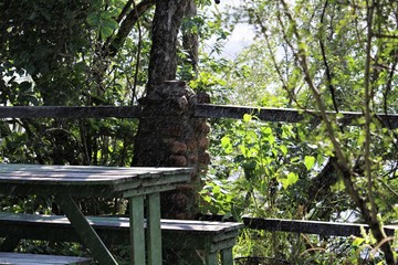 two benches in the park