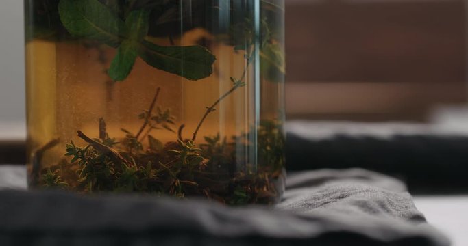 Slow motion pressing plunge black tea with thyme and mint in beaker glass closeup
