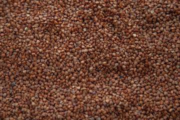 Buckwheat with toilet paper, popular things in coronovirus
