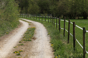 close up of a electrical wire fence around a pasture