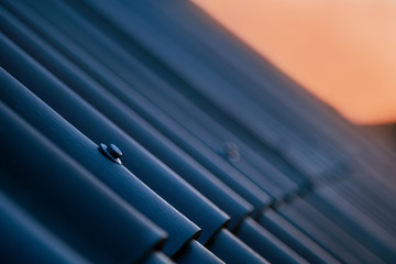 Metal screw head on the roof at sunset. Close up of bolts holding rooftop plates. Nobody © CrispyMedia