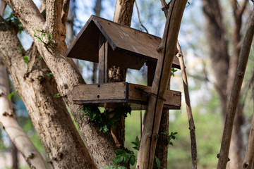 wooden bird feeder on a tree in the park