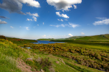 Fototapeta na wymiar lake and green trees with grass