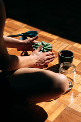 unrecognizable woman does yard work at home. she is sitting on the wooden floor. hobbies concept.