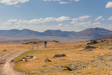 Fototapeta na wymiar Man riding a motorbike in the steppes of Mongolia, on the hills of Mongolia