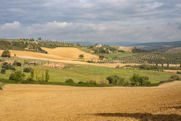 Fototapeta na wymiar Picturesque landscape witn empty autumn fields and meadows in Tuscany, Italy.