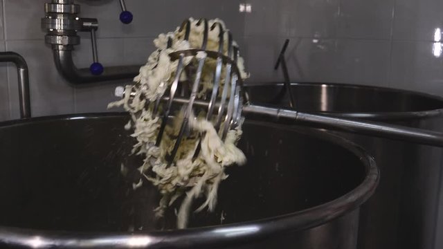 preparation of mozzarella in a dairy. mozzarella production: italian cheese factory, mozzarella, fresh cheese