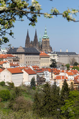 Spring Prague City with gothic Castle and the green Nature and flowering Trees from the Hill Petrin, Czech Republic