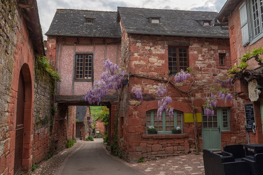 along a house wall in the red village of Collonges-la-rouge a wisteria is blooming