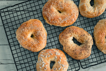 Homemade bagels on a cooling rack on grey wood