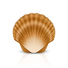 Vector 3d Realistic Brown Closed Scallop Pearl Seashell Icon Closeup Isolated on White Background. Design Template. Front or Top View