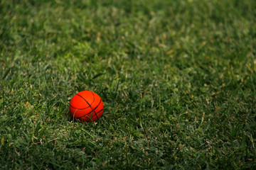 Ball on the grass