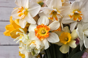 Bouquet of beautiful daffodils of different types background. Spring flowers, terry and yellow stamens daffodils.