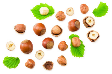 hazelnuts with leaves isolated on white background. top view