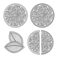 Set of illustrations for сoloring book page  with   orange.