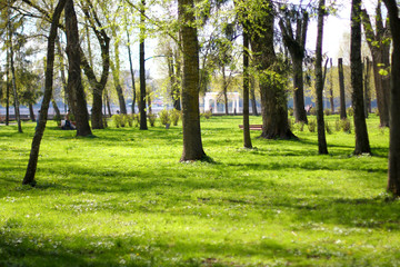 green park, springtime