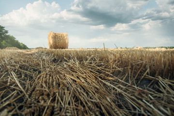 one bale of mown wheat in a field on a Sunny day against a cloudy sky, wide angle, lower angle