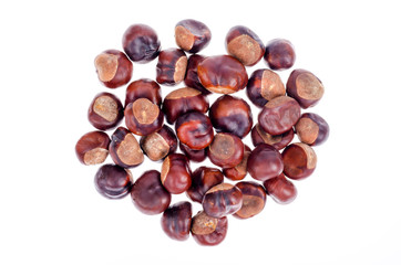 Peeled fruits Aesculus on white background