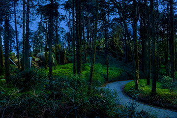 Fototapeta premium Fabulous blue flower with small lights in the middle of a wild forest