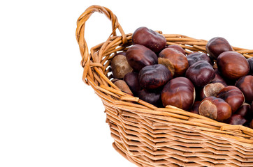 Peeled fruits Aesculus on white background