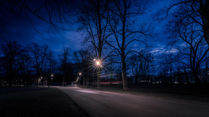 Lichtspuren eines Radfahrers in einem Park in Graz