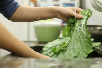 Couve - Higienização de vegetais orgânicos, provenientes de agricultura familiar, em tempos de pandemia causada pelo corona vírus (covid19)
