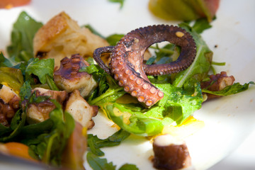 Grilled Octopus on Bed of Greens - Gourmet Salad Plate