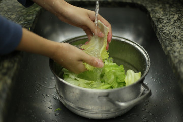 Alface - Higienização de vegetais orgânicos, provenientes de agricultura familiar, em tempos de pandemia causada pelo corona vírus (covid19)