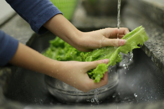 Higieniza&ccedil;&atilde;o de vegetais org&acirc;nicos, provenientes de agricultura familiar, em tempos de pandemia causada pelo corona v&iacute;rus (covid19)