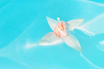 Spa, zen balance, serenity, wellness. A flower in blue calm water. The concept of naturalness, zen...