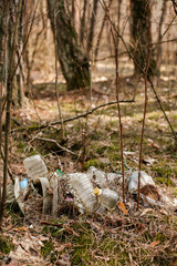 Garbage in the forest - ecology - old dirty plastic bottles and broken glass.Ecology of the forest. Pollution of nature.