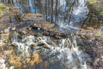 river in the forest