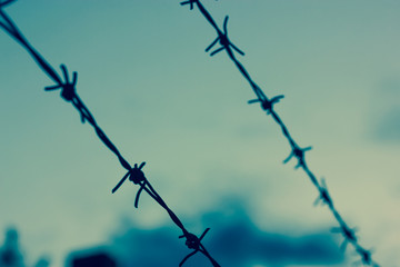 Barbed wire in the blue sky in the evening: jail time. 