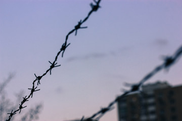 Barbed wire in the blue sky in the evening: jail time. 
