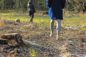 Walk in the woods: Girls walking in the grass in the forest.
