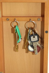 a bunch of keys on 1 ring lie and hang together, the keys to the apartment