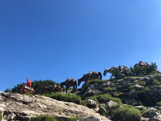 סוסים בתוך הרים