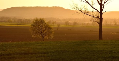 Fototapeta na wymiar Krajobraz Przedgórze Sudeckie