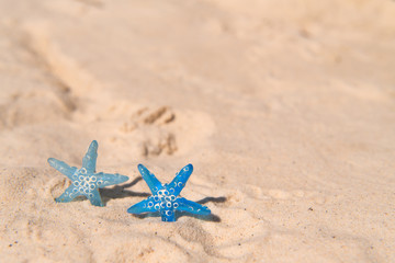 Fototapeta na wymiar Blue Star fish at the beach