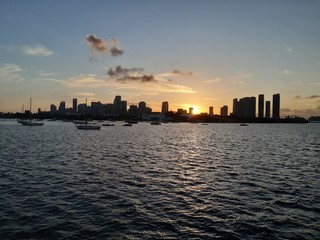 Miami Sea