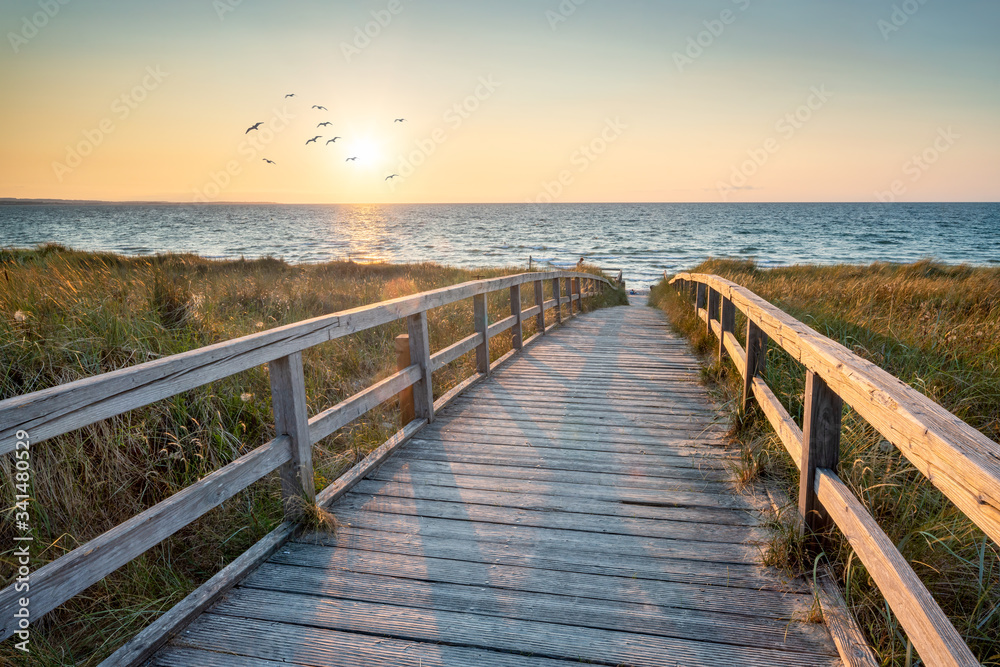 Wall mural dunes along the beach at sunset