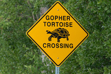 Gopher Tortoise Crossing Road Sign