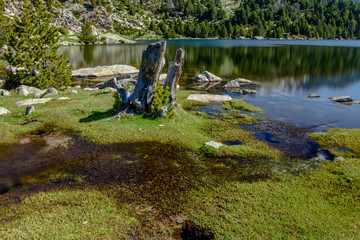 Water flowing into the Malniu Lake (Cerdanya province, Catalonia) Spain.