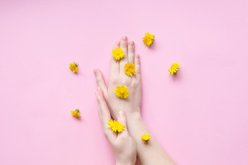 Fototapeta na wymiar Hands of a woman with yellow flowers on a pink background. Natural cosmetics product and hand care, moisturizing and wrinkle reduction. Flat Lay and skincare concept.