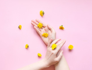 Hands of a woman with yellow flowers on a pink background. Natural cosmetics product and hand care, moisturizing and wrinkle reduction. Flat Lay and skincare concept.