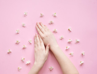 Fototapeta na wymiar Hands of a woman with white flowers on a pink background. Natural cosmetics product and hand care, moisturizing and wrinkle reduction. Flat Lay and skincare concept.