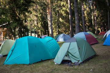 Adventures Camping tourism and tent under the view pine forest landscape near water outdoor in morning and sunset sky at Pang-ung, pine forest park