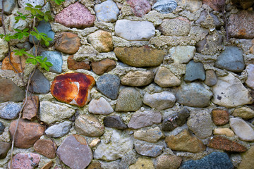 Many colors and many sizes of stone make a stone wall with budding green vine along side.