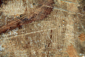 Close up the surface of the old brown wood texture background.