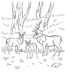 Coloring page outline of cute cartoon deer family. Vector image of male deer, female doe and little fawn with nature background. Coloring book of forest wild animals for kids